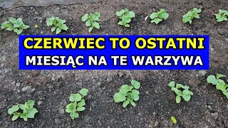 Czerwiec  Ostateczny Miesiąc na Siewy tych Warzyw Co siać i sadzić w Czerwcu  Kalendarz Ogrodnika [upl. by Aynuat]