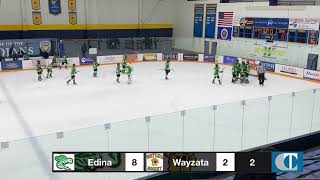 Edina vs Wayzata [upl. by Britton]