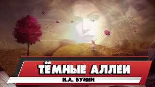 ТЁМНЫЕ АЛЛЕИ  ИА БУНИН [upl. by Aerehs]