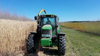 Miscanthus harvesting Spring 2019 [upl. by Geminian]