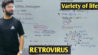 Retrovirus  Retrovirus class 11 Retrovirus amp HIV [upl. by Dilaw]