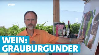 Werner erklärt Wein Grauburgunder [upl. by Milson]