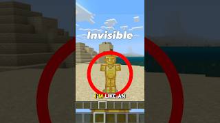 Can You Have a INVISIBLE Skin in Minecraft 🤔 [upl. by Esoranna]