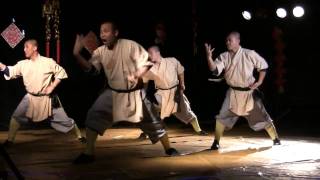 LA Shaolin Monks Kung Fu Demo  Cal Tech [upl. by Attehcnoc]