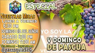 DOMINGO 28 de abril 2024 Preside p Milton Zonta SDS [upl. by Verine]