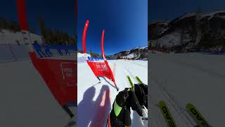 GoPro  Giant Slalom Olympic Champions POV 🎬 Ted Ligety Shorts Skiing [upl. by Ennovyhc210]