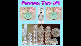 6 Basic Piping Techniques using Wilton 1M [upl. by Wes]