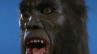 Brandons Cult Movie Reviews MIGHTY PEKING MAN [upl. by Melena]