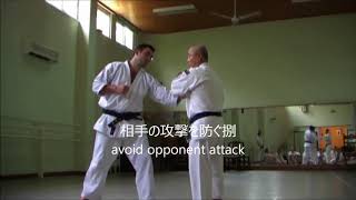 Johaku Dori  Shorinji Kempo 上膊捕りの捌方 [upl. by Atirb749]