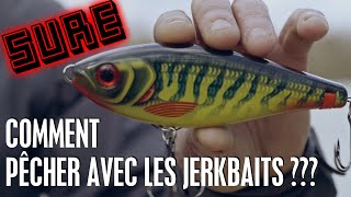 COMMENT PÊCHER AU JERKBAIT  LE TRUC SÛR DARNAUD BRIÈRE [upl. by Ttenyl]