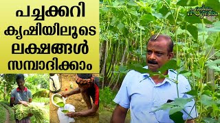 Earn millions through profitable and affordable vegetable cultivation  Haritham Sundaram EP 340 [upl. by Ahsytal]