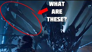 What are THESE on the Xenomorph  Alien Romulus [upl. by Yaf79]