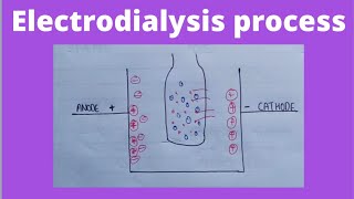 Electrodialysis in hindi  colloidal dispersion  physical pharmaceutics 4 semester [upl. by Uamak]