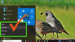 How to Enable Hibernate Button in Windows 10 [upl. by Filberto]