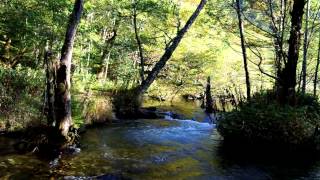 Kamikochi Hiking along Azusa River [upl. by Donal620]