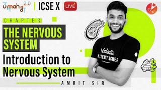 The Nervous System L2  Introduction to Nervous System  ICSE Class 10 Biology  Science Vedantu [upl. by Assiral]