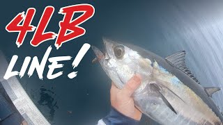 BIG TUNA ON 1000 REEL Almost Spooled  4lb Braid  14kg Jewel Rod [upl. by Treiber]