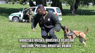 Hrvatska vojska oduševila Osječane akcijom “Postani hrvatski vojnik” [upl. by Eninnaj]