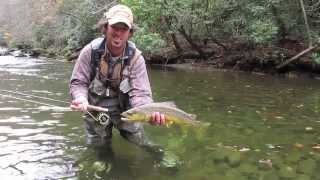 Fly Fishing for Large Brown Trout in the Smokies in the Fall [upl. by Shaff220]