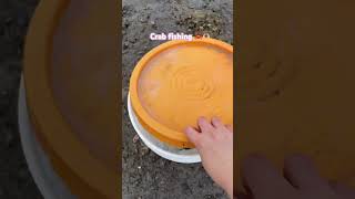 Crab fishing🦀 🎣 chill fishing viralvideo [upl. by Wehner]