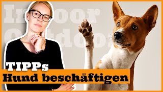 Hund zu Hause geistig beschäftigen I Beschäftigungstipps für den Hund I Indoor und Outdoor [upl. by Bitthia636]