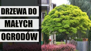 Najładniesze drzewa do małych ogrodów [upl. by Wymore]