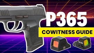 Sig P365 Red Dot Guide Which Holosun Optics CoWitness Best [upl. by Bevash]