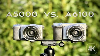 Sony A5000 vs A6100 I Video 🎥 amp Photo 📸 Test  good for 2024  I 4K [upl. by Benni814]