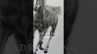 Learn to draw this gorgeous foal  Drawing Tutorial Live Now graphite drawingtutorial howtodraw [upl. by Stillmann]