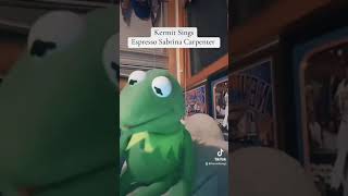 Kermit The Frog Sings Espresso Sabrina Carpenter [upl. by Errehs685]