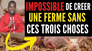 Créer UNE FERME 3 premières CHOSES à AVOIR sur votre ferme AU DEBUT investir au pays dans porc [upl. by Corey852]