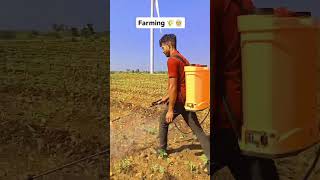 चने पर दवाई का छिड़काव। indainfarmer agriculture farming farmer shorts viralvideo kisan far [upl. by Akiem]