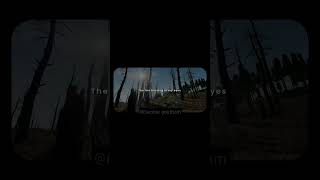 ITS 2018❤️‍🩹bgmi pubgmobile karfton tencentgames shortsvideo [upl. by Oskar421]