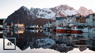 Harbor Sounds for Sleep Henningsvær Village Sunrise Lofoten Norway 3 Hours [upl. by Palgrave]