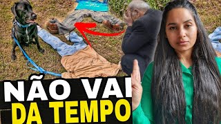 URGENTE MILHÕES DE PESSOAS VAI DESAPARECER vai parar tudo [upl. by Assiron167]