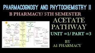 Acetate pathway  pharmacognosy and phytochemistry 2 unit 1  part3 [upl. by Eessej]