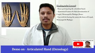 Articulated Hand Osteology I Full Demo I Dr Vibhash Vaidya [upl. by Ogait716]