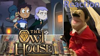 The Owl House Season 2 Episode 11 Follies At the Coven Day Parade Reaction Puppet Reaction [upl. by Lizbeth655]