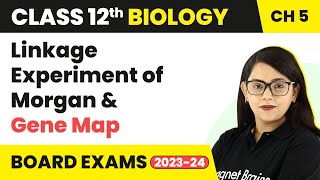 Class 12 Biology Ch 5 Linkage Experiment of Morgan amp Gene MapPrinciples of Inheritance amp Variation [upl. by Thema]