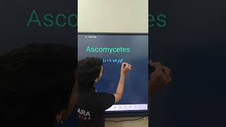 Ascomycetes example trick by Ranveer sir shorts [upl. by Avelin779]