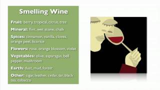 Wine Basics from My Wine Smarts [upl. by Skerl834]