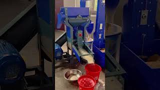 4in1 commercial rice mill machine with 75kw motor 600kghour [upl. by Onairotciv]