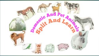 Domestic And Pet Animals Names With Pictures  Farm Animals Names  Names Of Domestic Animals Eng [upl. by Ahsenit229]