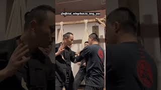 Daily Training for Wing Chun Exploring Elbow Techniques and Skills  Master Tu Tengyao [upl. by Mihcaoj]