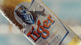 Tiger Beer  Roaring New Look Same Great Taste [upl. by Enelad658]