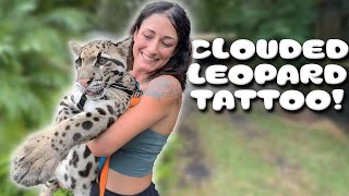 Leopard TATTOO at the ZOO [upl. by Siusan]