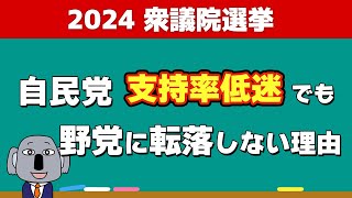 どうなる衆議院選！？選挙の情勢と制度的な特徴について解説します！ [upl. by Dunham]