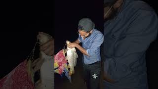 10kg big gulfam fish catch Mangla Dam new fishing Report 27102024 [upl. by Namajneb942]