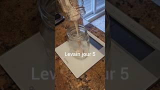 Levain jour 5 How to Train Your Starter Levain Making Process Day 5 [upl. by Eiahpets819]