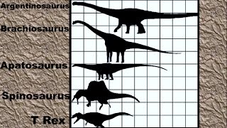 Dinosaur Size Comparison 2D [upl. by Sivolc802]